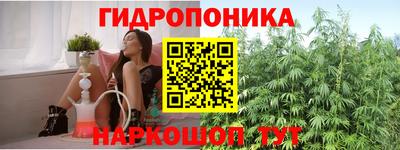 СК Кунгур