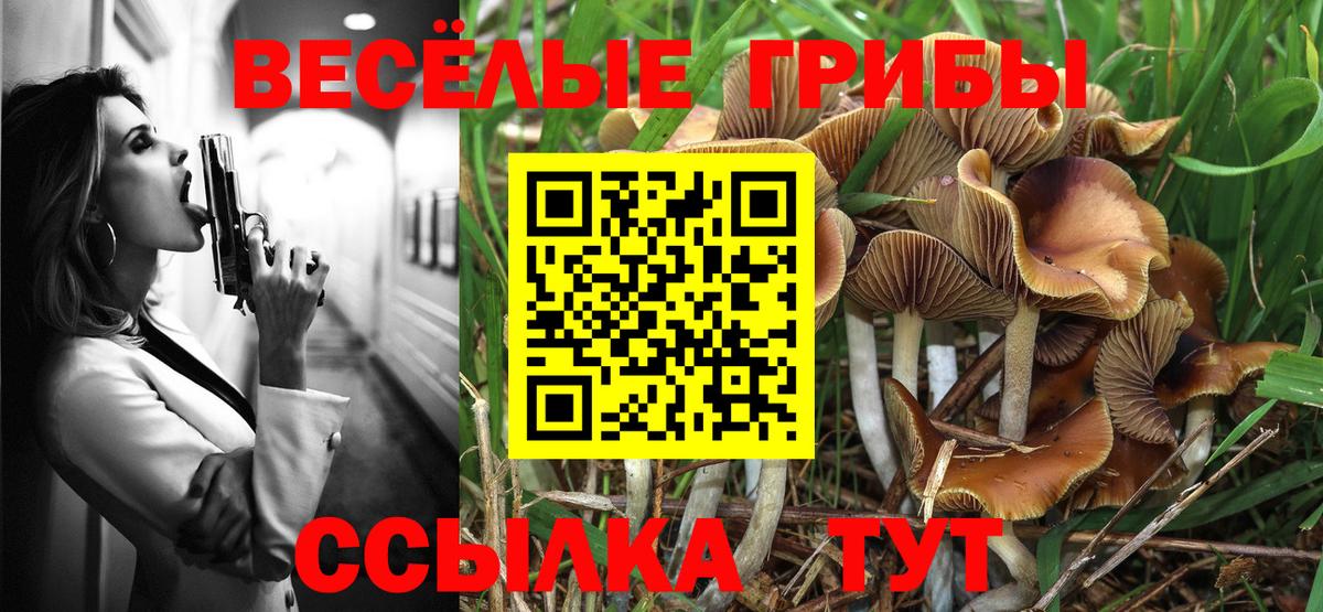 Карталы  Псилоцибиновые грибы GOLDEN TEACHER  Галлюциногенные грибы MAGIC MUSHROOMS  Вход с VPN 